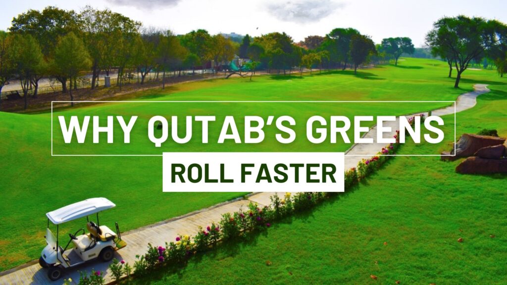 Why Qutabs Greens Roll Faster