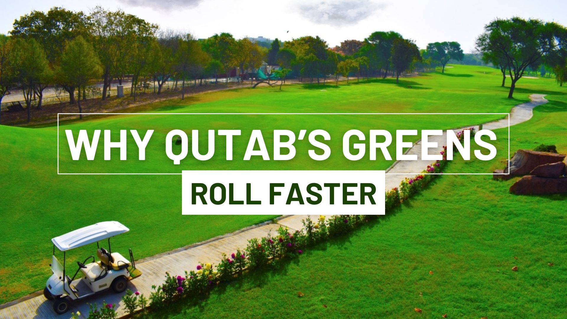 Why Qutabs Greens Roll Faster